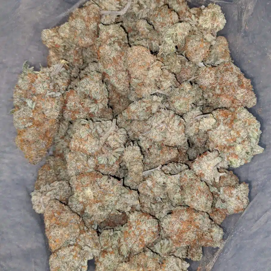 nyc diesel 2 I NYC Diesel