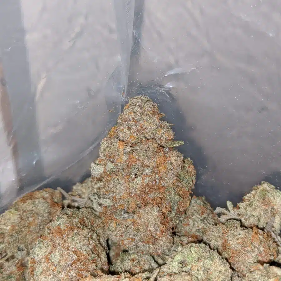 nyc diesel 3 I NYC Diesel