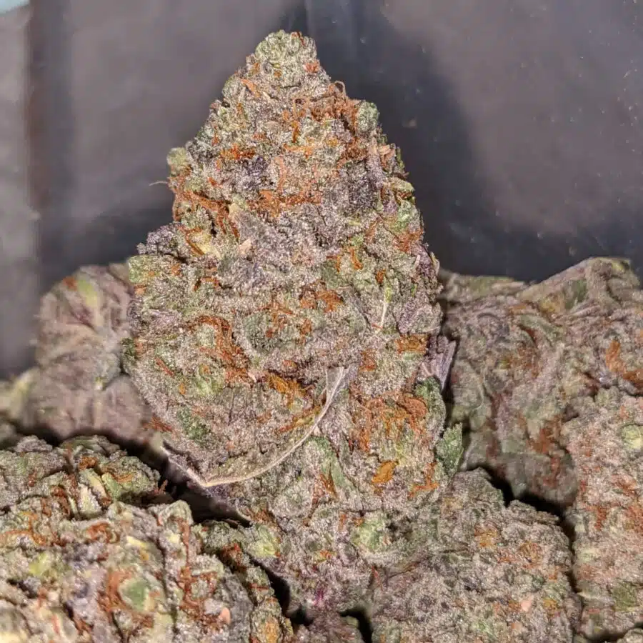 black cherry mints 1 I Black Cherry OG