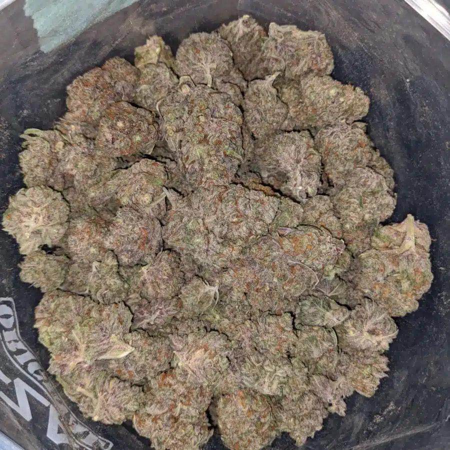 black cherry mints 4 I Black Cherry OG