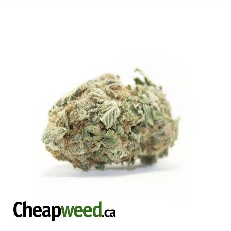 $119 Oz - Hawaiian Punch