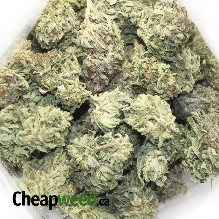j27 1 1 I $119 Oz - J-27