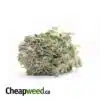 $119 Oz - J-27