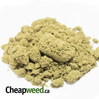 kief I Legacy
