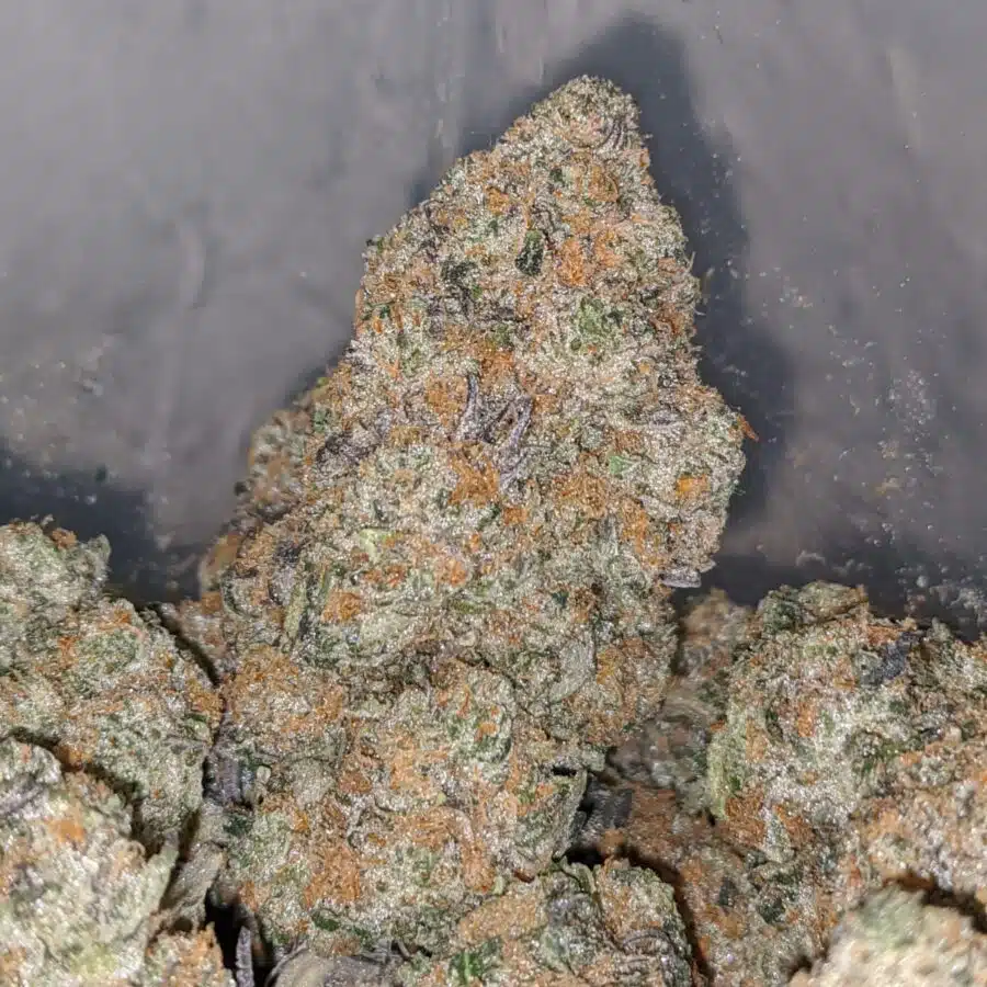 tkc 1 I West Coast Diesel