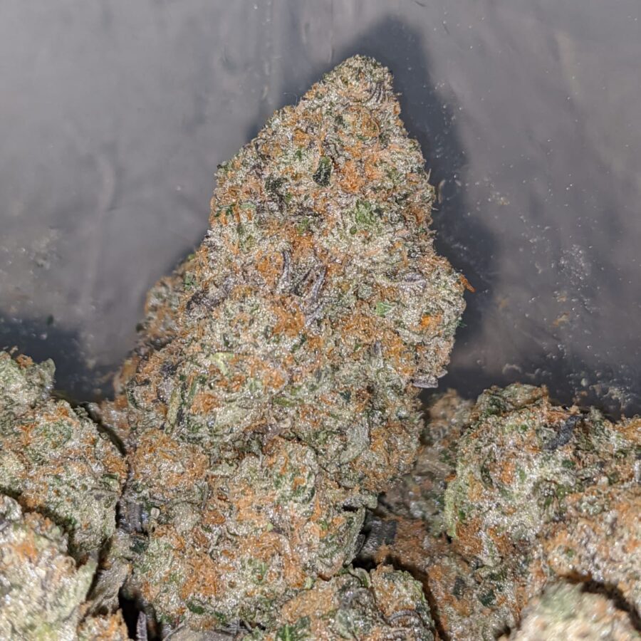 West Coast Diesel - Image 4