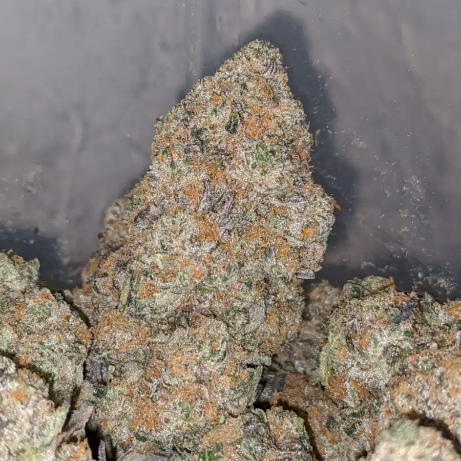 tkc 2 I West Coast Diesel