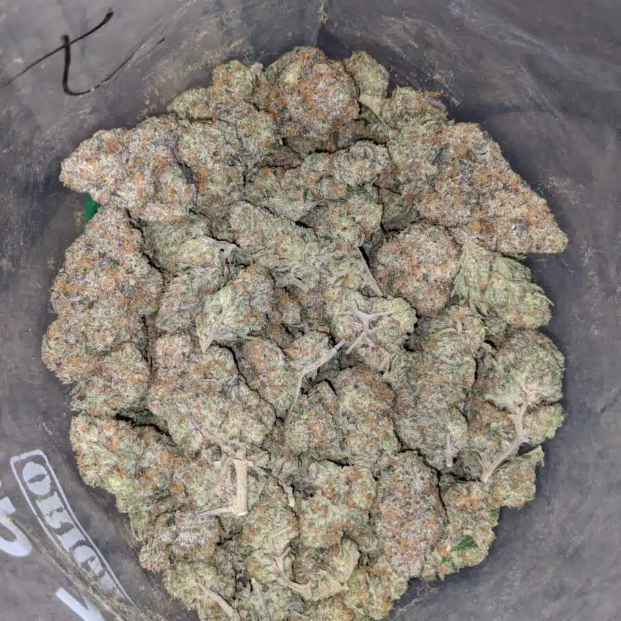 tkc 4 I West Coast Diesel