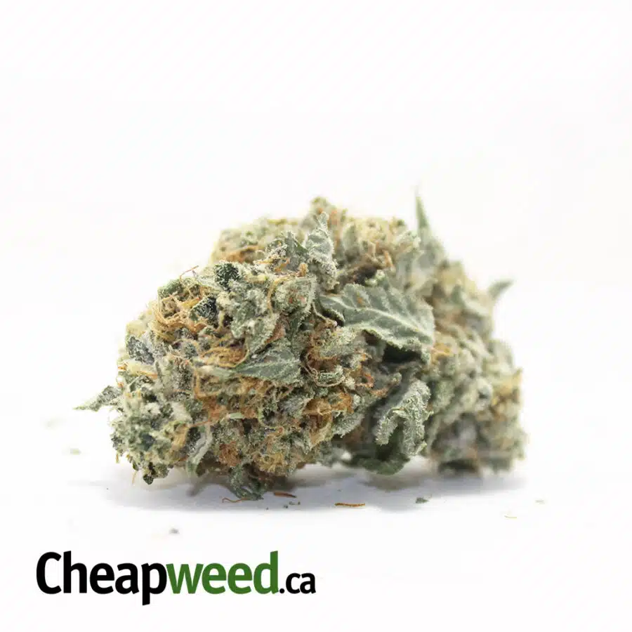 $109 Oz - White Kush