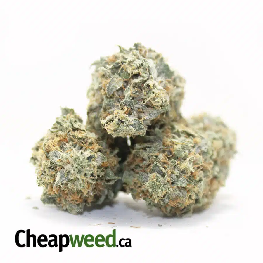 Alternative view of $109 Oz - White Kush