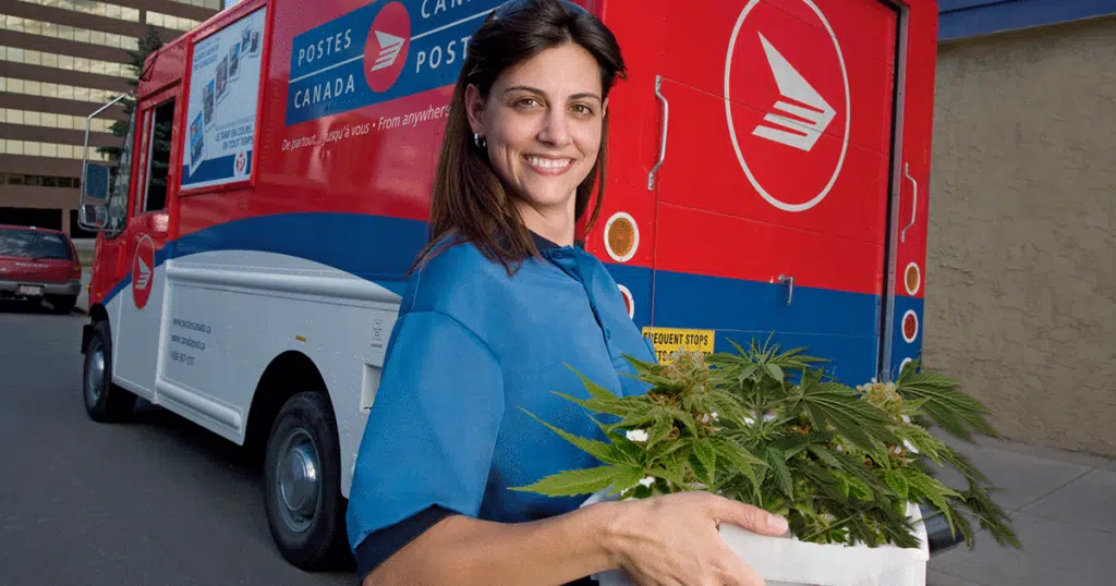 Mail Order Marijuana