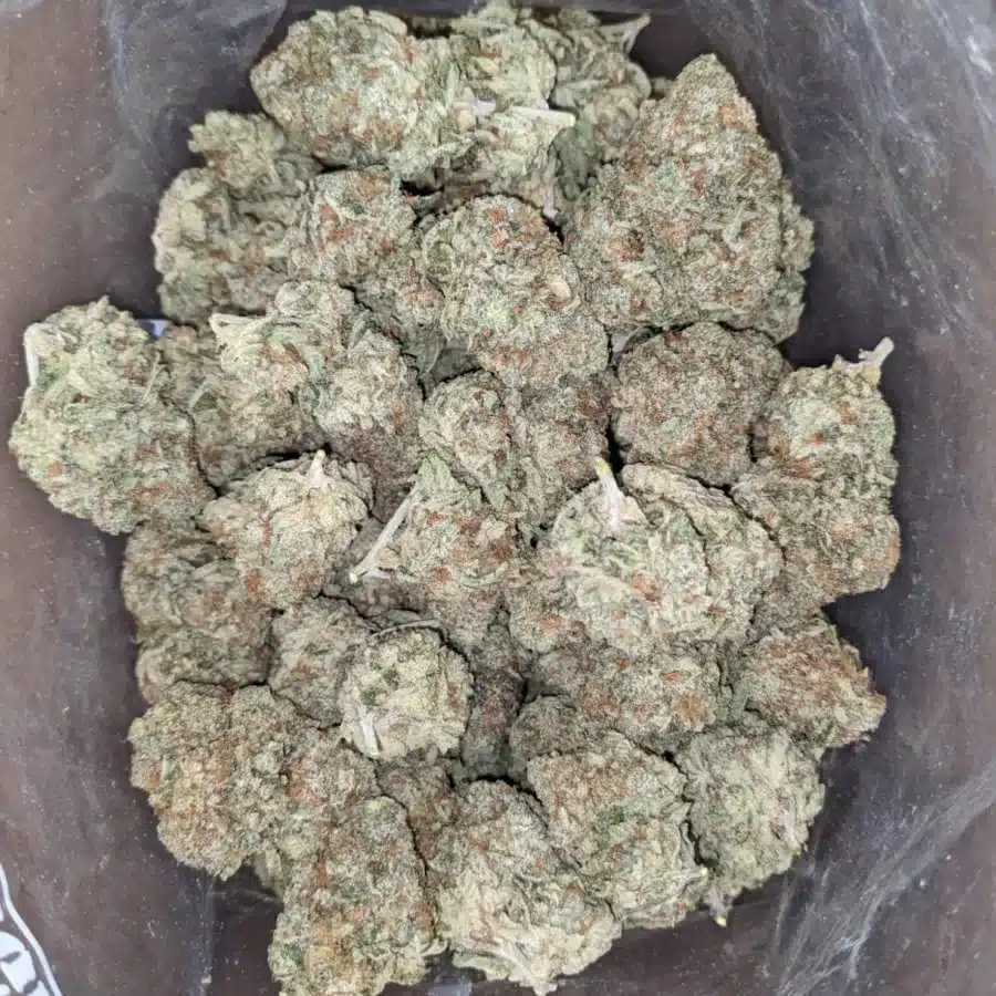 Casey Jones 1 I Casey Jones