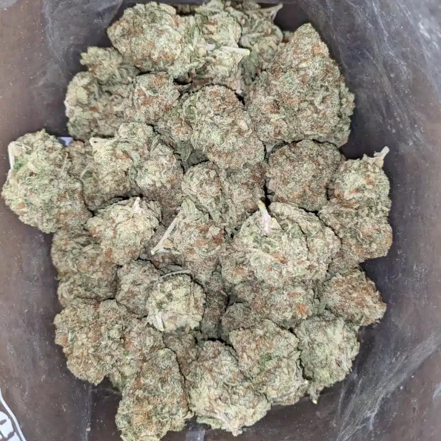 Casey Jones 2 I Casey Jones