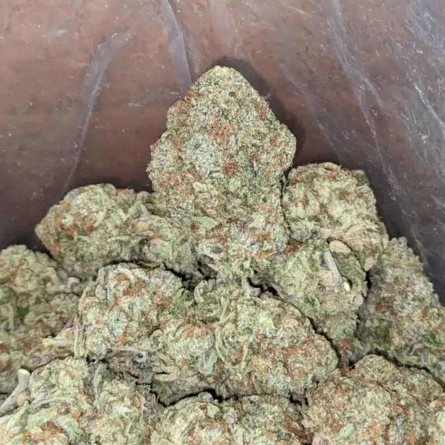 Casey Jones 4 I Casey Jones
