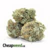 Sweet Kosher Kush