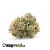 Budget Kush - *Deal of the Day*