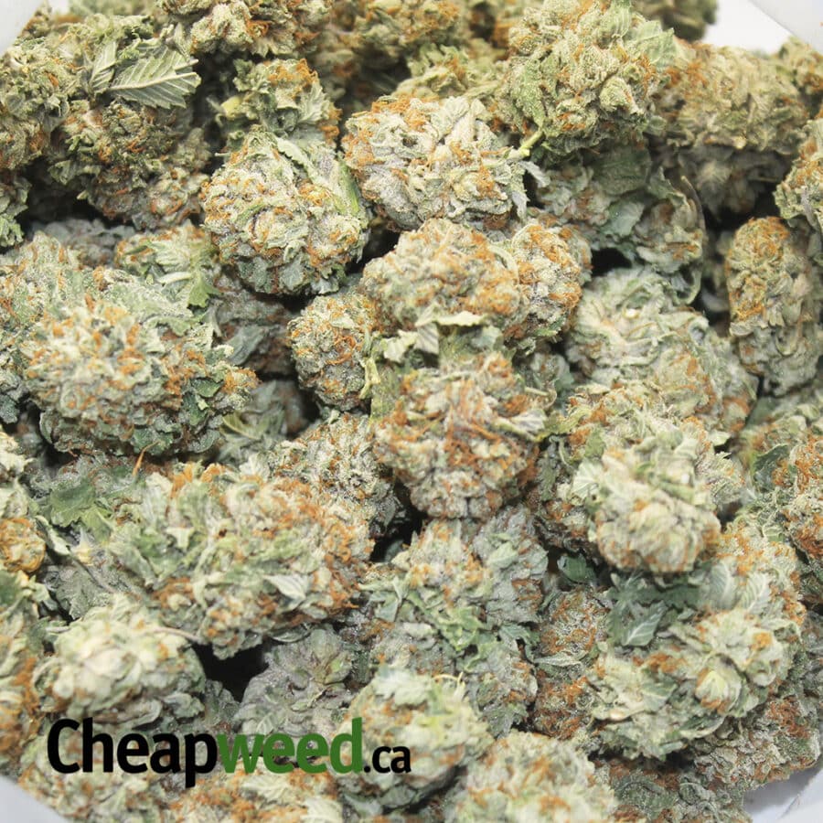 IMG 2530 I Diamond OG