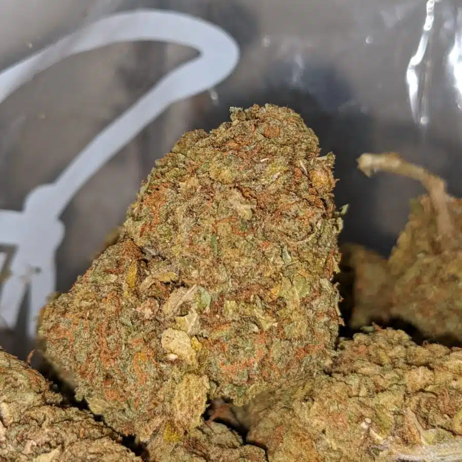 wonder kush aa 2 I Wonder Kush AA+