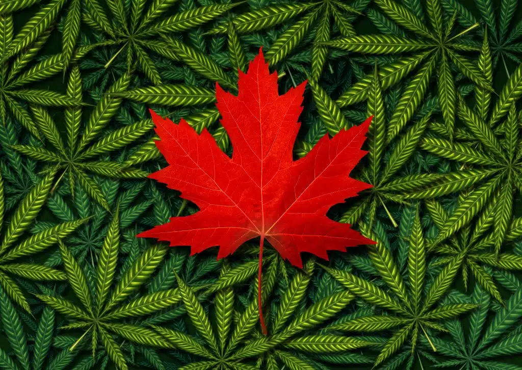 Legal Weed in Canada