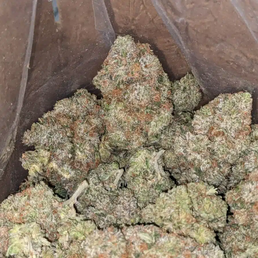 GENERAL KUSH 1 I General Kush