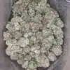 General Kush