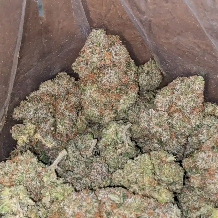GENERAL KUSH 4 I General Kush