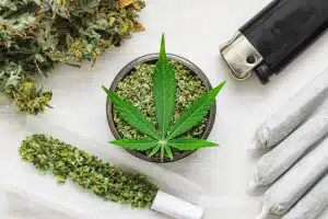 weed Leaf of cannabis