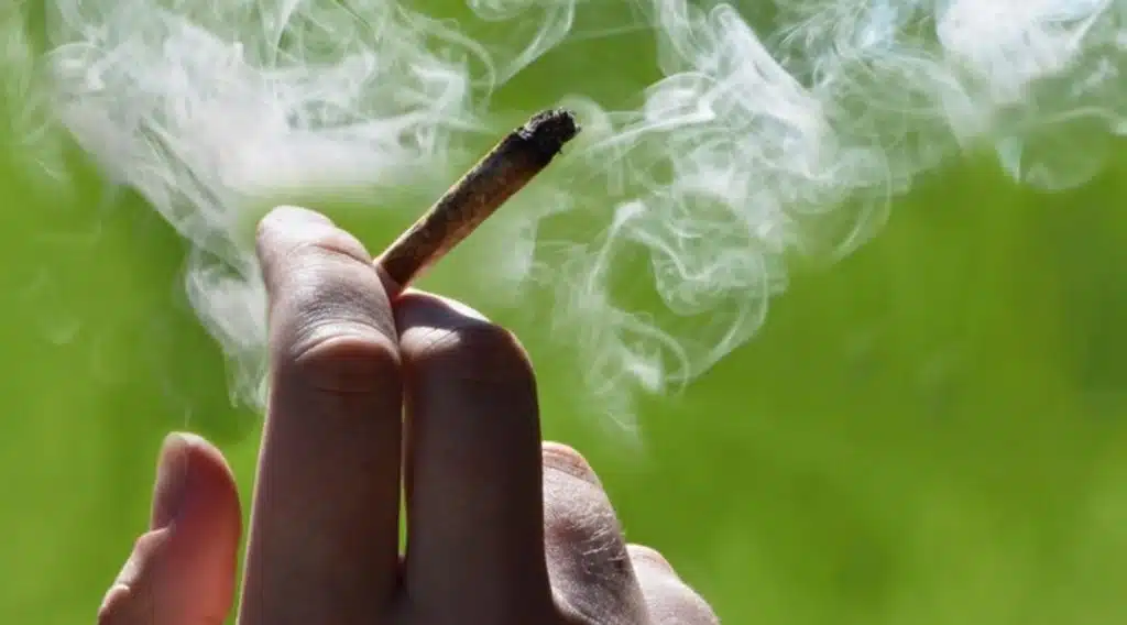 Weed, smoking, system, body, bloodtest