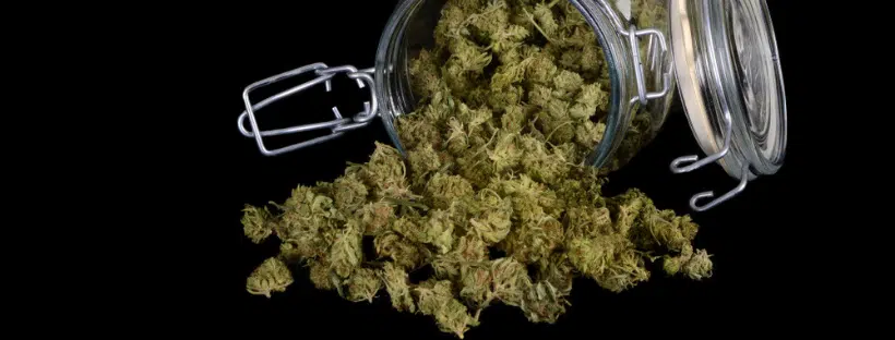 Indica Weed Buds