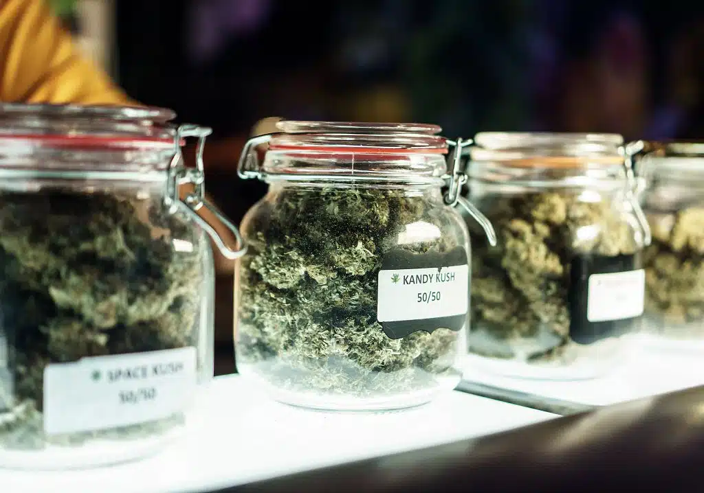 jars of cannabis.