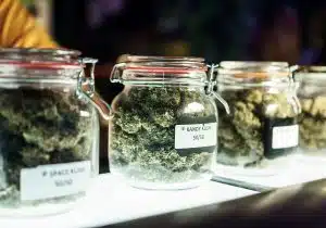 jars of cannabis.