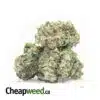$98 Oz - FIRE