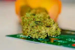 The marijuana care