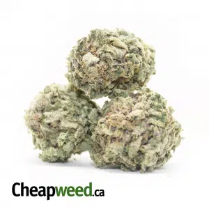 purple og