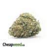 $99 Oz