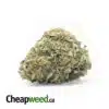 $99 Oz