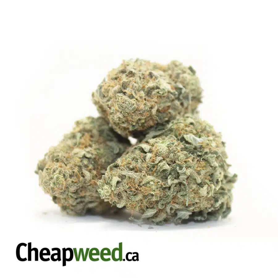 wildberry 2 I $99 Oz