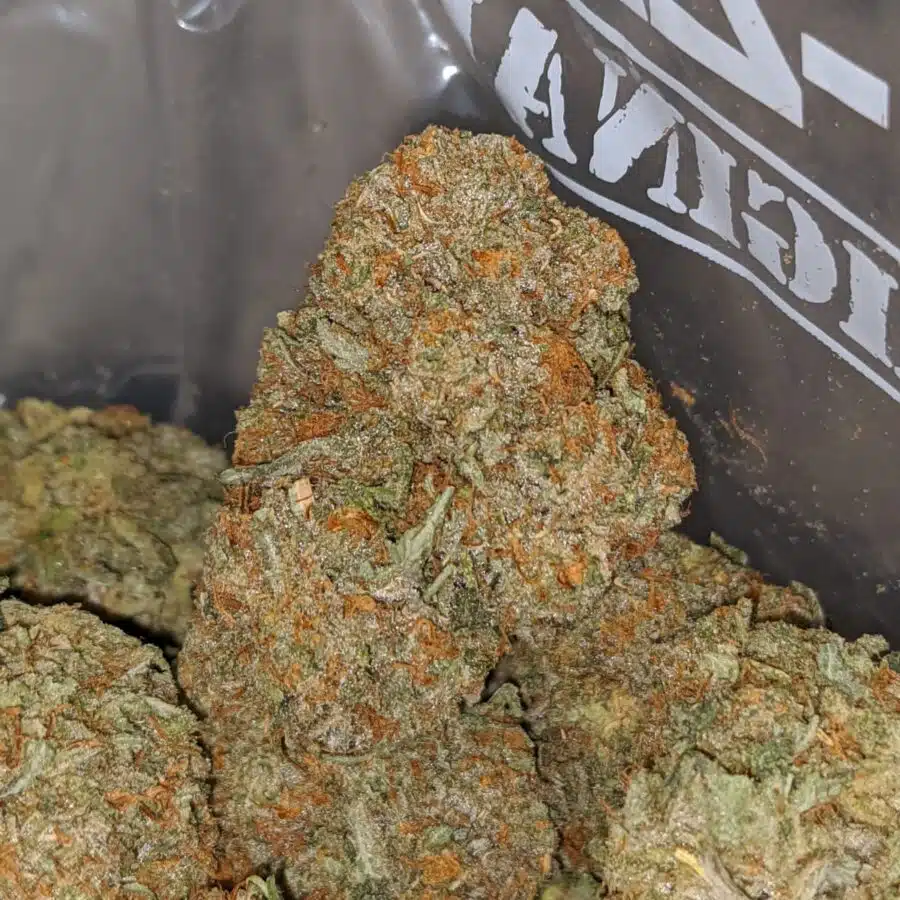 Cali Diesel 1 I Cali Diesel
