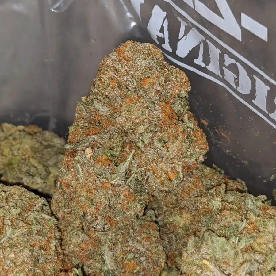 Alternative view of Cali Diesel