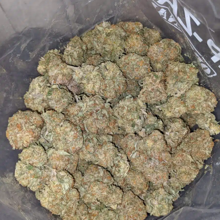 Cali Diesel 3 I Cali Diesel