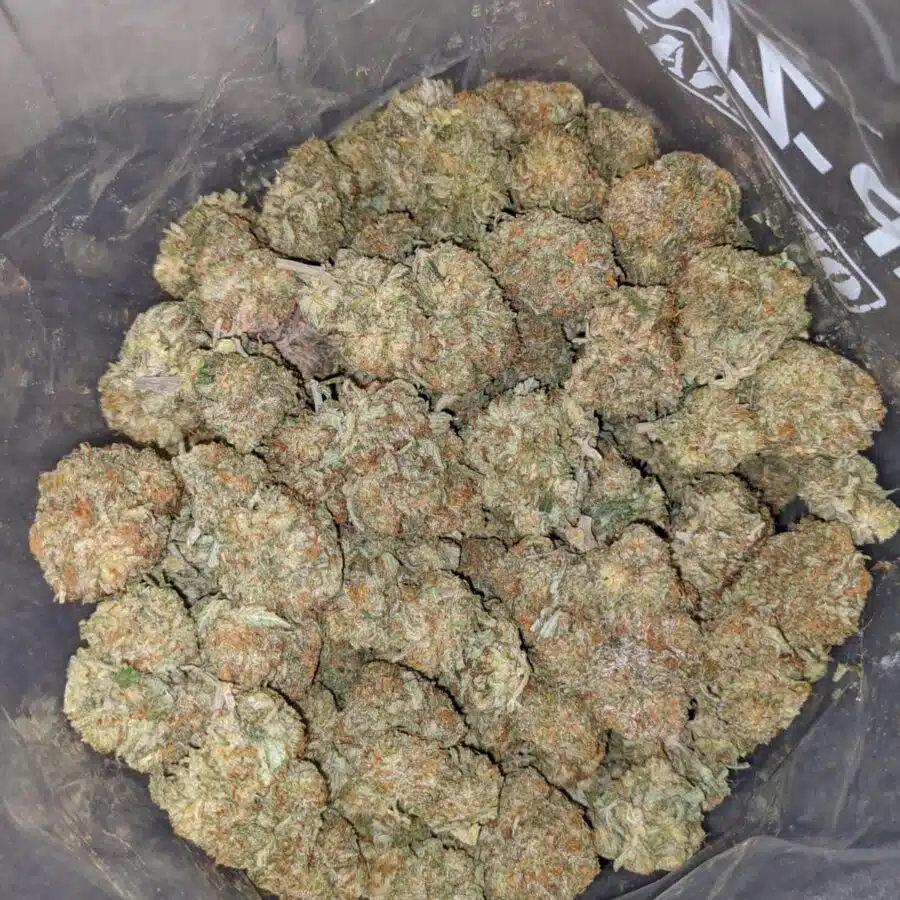 Cali Diesel
