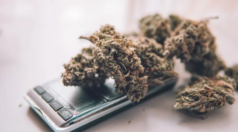 Cheap Weed Canada