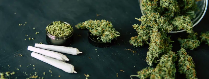 Weed Prices Canada