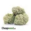 Lime Kush