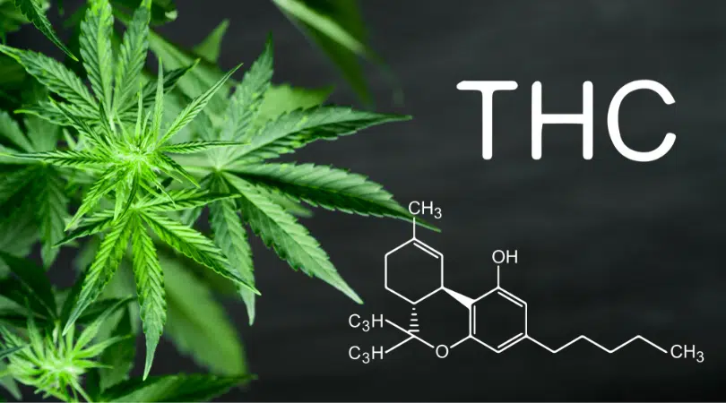 THC Properties