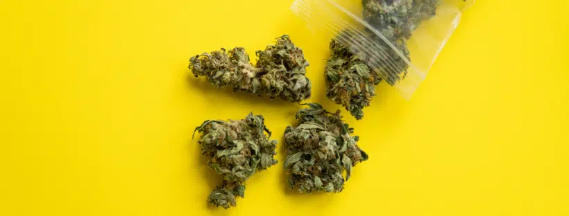 THC Properties