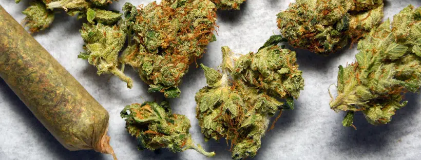 Weed Price in British Columbia