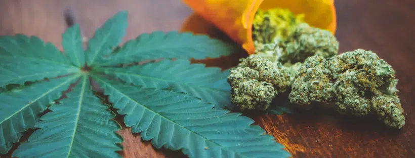 Weed Price in Nova Scotia