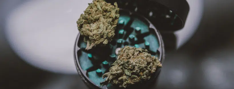 Weed Side Effects