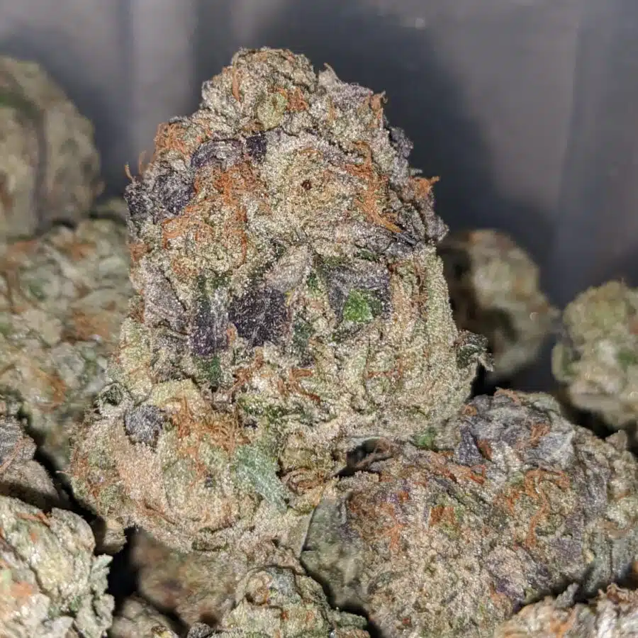 og wreck 1 I OG Wreck #2